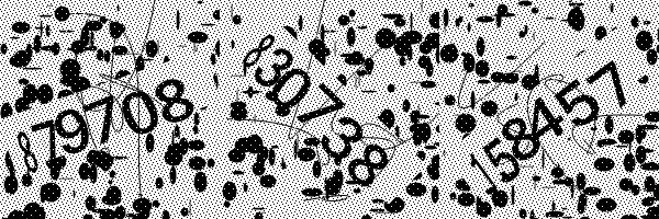 Veuillez activer le chargement des images dans votre navigateur.