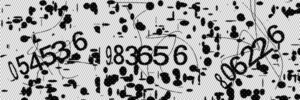Veuillez activer le chargement des images dans votre navigateur.